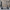 Joyor LiteGo Electric Scooter + Helmet + 2 Inner tubes – Smart App Waterproof (IPX5) 45KM Range