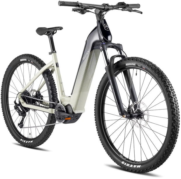 TRX 1.3 LS